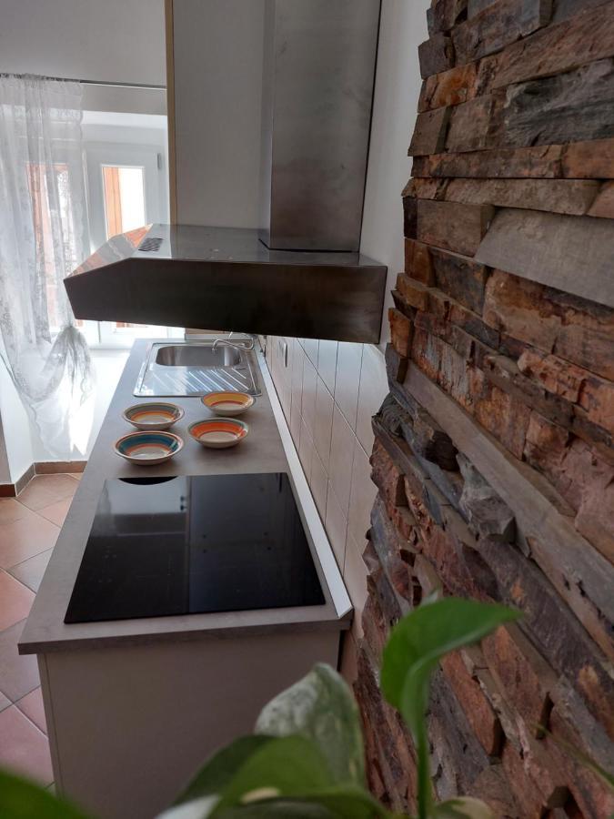 The Soca House Tolmin Apartment Luaran gambar